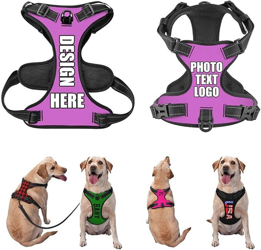 Custom Name Harness for Dog, Customized Pet Harnesses for Large Dogs, Personalized Dog Harness for Small Dog, Custom Pet Vest for Puppy, No Pull Dog Vests Personalization, PinkPurple, L