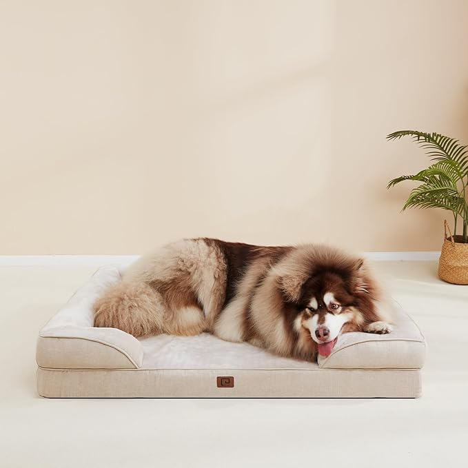 EHEYCIGA Orthopedic Dog Bed for Medium Dogs, Waterproof Memory Foam Medium Dog Beds with Sides, Non-Slip Bottom and Egg-Crate Foam Medium Dog Couch Bed with Washable Removable Cover, Beige