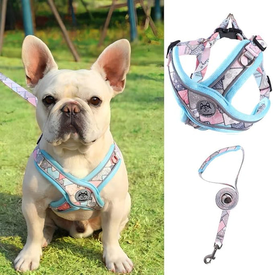 PT-010 Pet Dog Puppy No-Pull Harness Walking Training Harness with Leash Reflective Vest (Blue, Large)