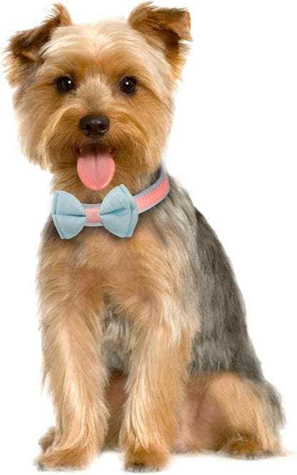 Dog Collar,Metal Buckle Pet Collar Suede Dog Collar Soft&Comfy Adjustable Pet Gift Collars with Bow for Small Medium Large Dogs (Medium, Pink&Blue)
