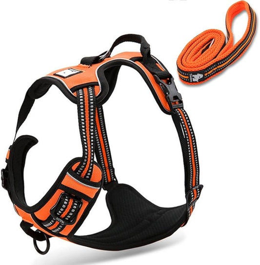 Reflective Nylon No-Pull Dog Harness and Training Leash Set Padded Durable Adjustable(XS, Orange Set)