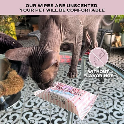 Wet Wipes with Panthenol for Sphynx and Shorthair Cats for Everyday use (10Pack/150Count)