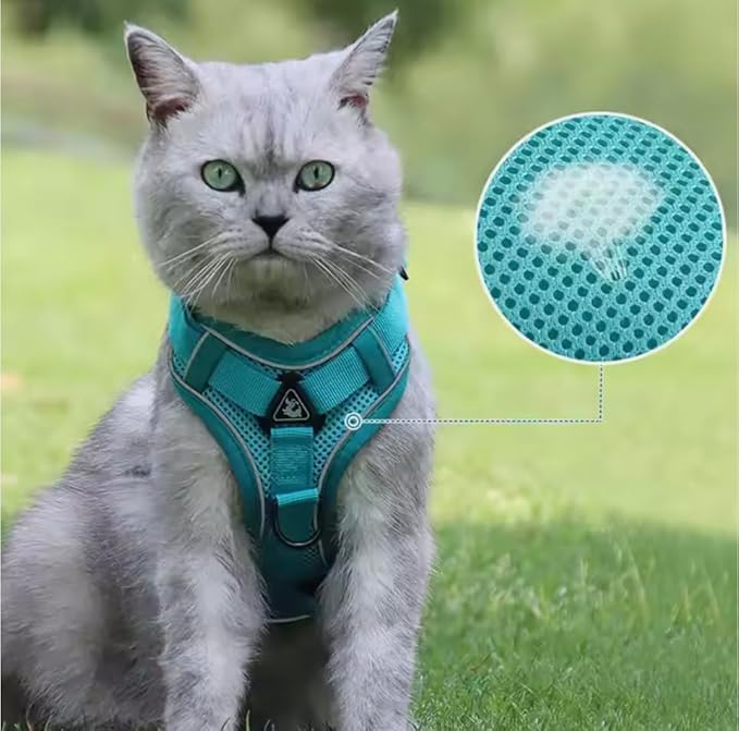 Harness for Dogs & Cats - S. M. L. XL, Nylon, Adjustable Buckle Pet Vest with Matching Leash (Blue, Medium)