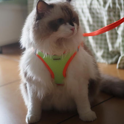 Soft Mesh Dog Harness and Leash Set, No-Chock Step-in Reflective Breathable Lightweight Easy Walk Escape Proof Vest Harnesses with Safety Buckle for Small Medium Dogs, Cats (Green, XSmall)