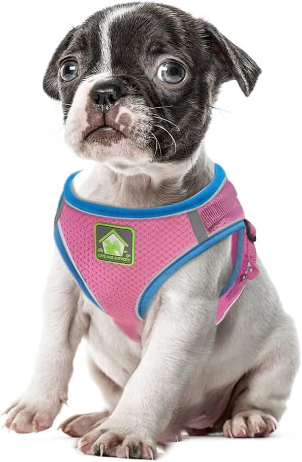 FEimaX Dog Harness and Leash Set, No Pull Soft Mesh Reflective Escape Proof Small Dog Cat Vest Adjustable Pet Outdoor Harnesses for Puppy Kitten Rabbit