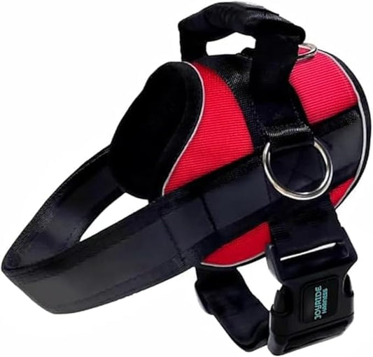 Joyride Harness 2.0 - The Original Side Ring No Pull Dog Harness - No Choke, Escape Proof, Reflective, 3 Leash Clips, Quick Fit Pet Vest - Easy Walks & Training - for Small, Medium & Large Dogs