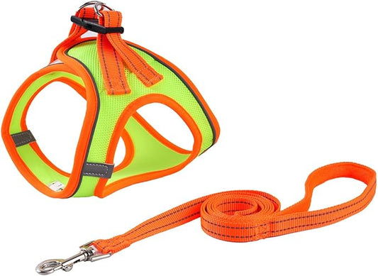 Soft Mesh Dog Harness and Leash Set, No-Chock Step-in Reflective Breathable Lightweight Easy Walk Escape Proof Vest Harnesses with Safety Buckle for Small Medium Dogs, Cats (Green, Medium)