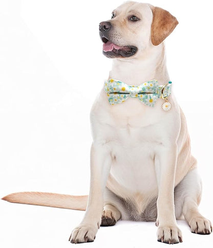 Fashionable Dog Collar with Bow Tie for Small Medium Large Dogs,Cute and Soft Puppy Collar for Male Female Dogs, Durable Cotton Dog Collar with Adjustable Buckle Butterfly Pattern (Medium, Cyan Daisy)