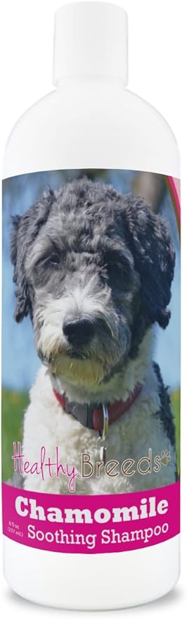 Healthy Breeds Aussiedoodle Chamomile Soothing Dog Shampoo 8 oz