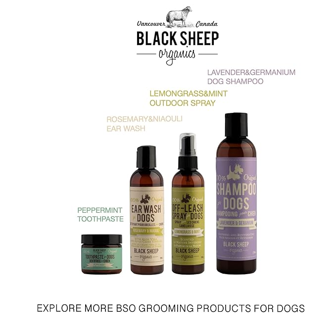 Deodorizer Spray: Lemongrass & Mint Dog Outdoor Grooming Spray - Puppy Body Perfume Spray Freshener Made in Canada