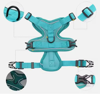 Harness for Dogs & Cats - S. M. L. XL, Nylon, Adjustable Buckle Pet Vest with Matching Leash (Blue, Medium)