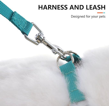Beirui Small Dog Harness and Leash Set, No Pull Step-in Harness for Puppy, Lightweight Air Mesh Pet Harness for Medium Dogs (Orange, M)