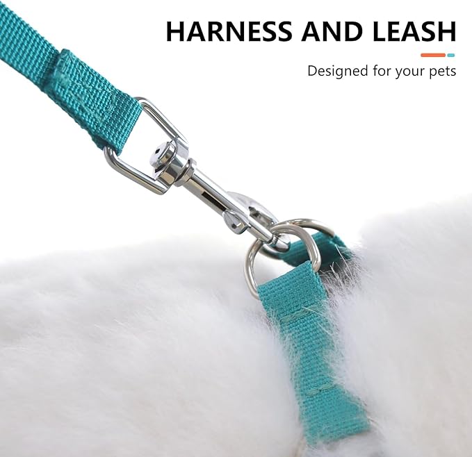Beirui Small Dog Harness and Leash Set, No Pull Step-in Harness for Puppy, Lightweight Air Mesh Pet Harness for Small Dogs (Orange, XS)