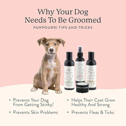 Conditioning Shampoo for Dogs, Puppy, and Cats - 6.7 fl oz (with Tea Tree Oil & Oatmeal)
