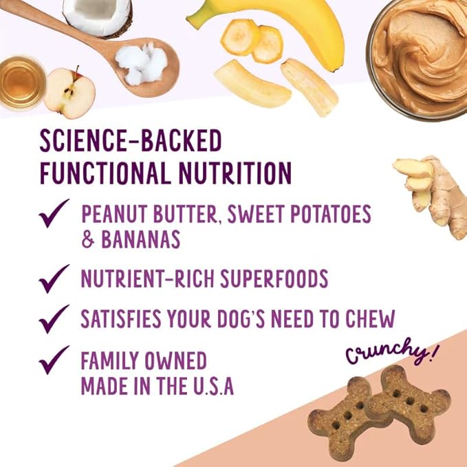 Health Extension Oven-Baked Dog Treats, 6oz (170g), Peanut Butter & Banana Recipe – Gluten & Grain-Free, Superfood-Infused, Crunchy Biscuits for Puppy Training (Pack of 6)