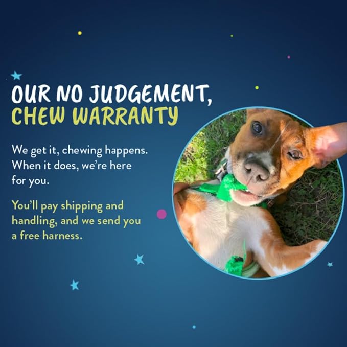 2 Hounds Design Freedom No Pull Dog Harness with Leash, Adjustable Gentle Comfortable Control for Easy Dog Walking, for Small Medium and Large Dogs, Made in USA
