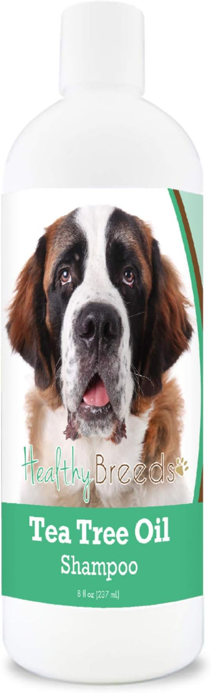 Healthy Breeds Saint Bernard Tea Tree Oil Shampoo – Formulated for Dry, Irritated Skin – Reduce Dandruff – Wintergreen Scent – 8 oz
