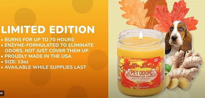 Pet Odor Exterminator Candle, Fall 'N Leaves - Pack of 2