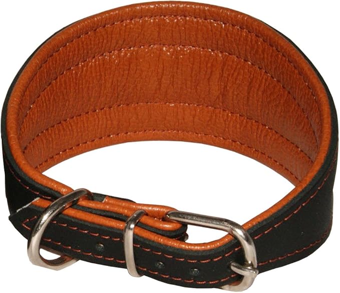 Real Leather Extra Wide Padded Tapered Dog Collar Glossy Black Greyhound Saluki Deerhound Lurcher Whippet Dachshund (11"-13" Neck; 2" Wide, Toffee)