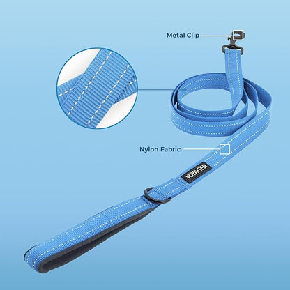 Voyager Reflective Dog Leash with Neoprene Handle, 6ft Long, Supports Small, Medium, and Large Breed Puppies, Cute and Heavy Duty for Walking, Running, and Training - Baby Blue, L