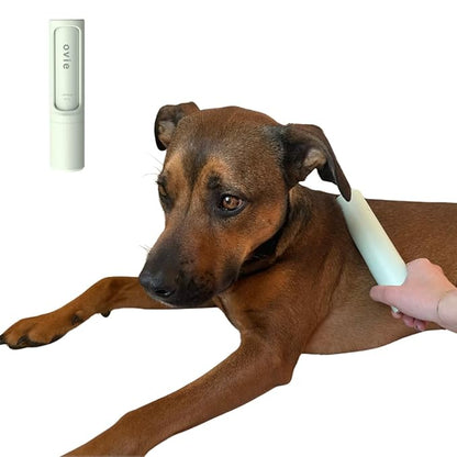 Soothing Dog Brush - Anxiety Relief Grooming Brush - Self Cleaning Calming Slicker Brush for Grooming Pets - Brushes for Long Short Haired Dogs - Deshedding Brush - Portable and Travel Friendly