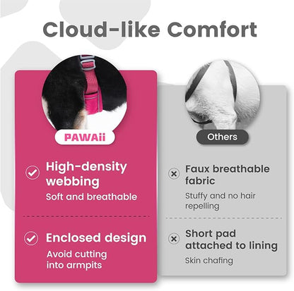 Pawaii Dog Harness for Small Dogs, Dog Harness with Pet ID Tag, No Choke Dog Harness, Adjustable Soft Padded Pet Vest with Easy Control Handle