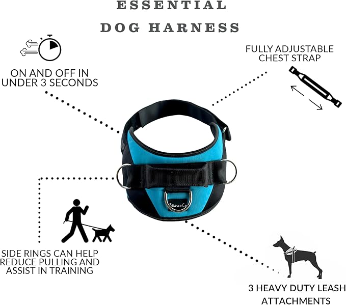 ShawnCo Essential Dog Harness, No-Pull Pet Vest with 3 Leash Clips, No Choke, Reflective, Adjustable and Padded, for Easy Walking and Training for Small, Medium and Large Dogs (Stars and Stripes, XL)