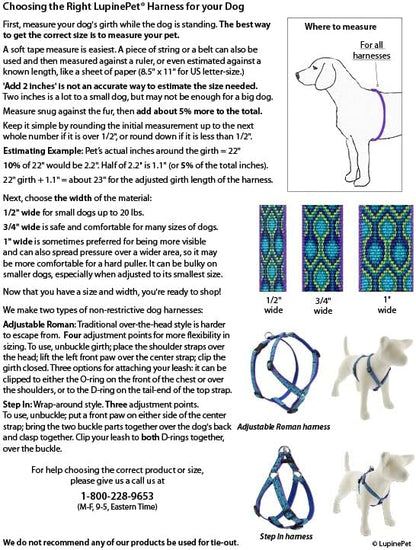 LupinePet Originals 3/4" Dapper Dog 20-32" Adjustable Roman Dog Harness for Medium Dogs
