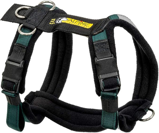 Urban Trail Adjustable Harness (Medium, Teal)