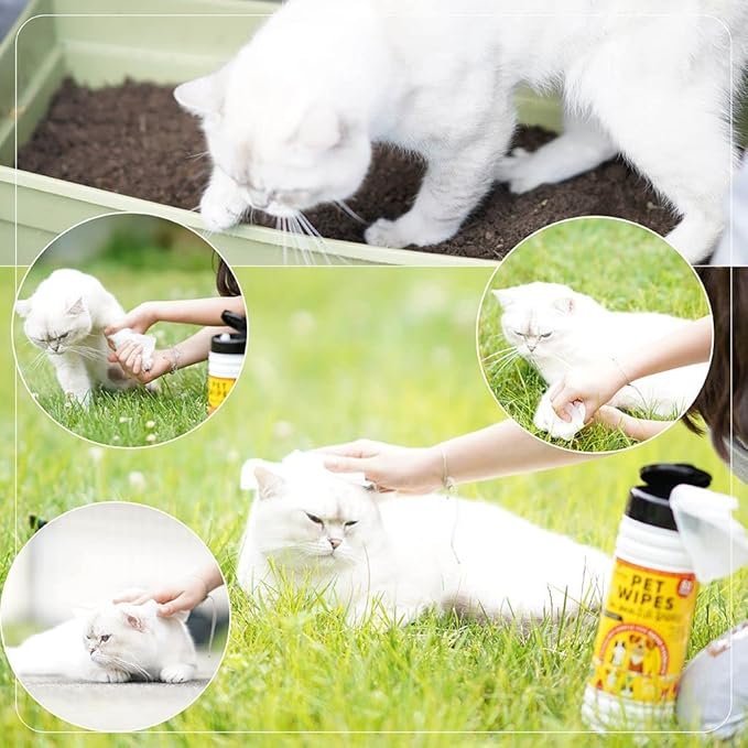 Pet Wipes for Pets Cleansing, Wipes for Dogs & Puppies-Mild & Soothing Dog Grooming Wipes, Safe to Use from Head to Toes, Strong but Gentle for Quick Cleaning, 50 Count (Pack of 1)