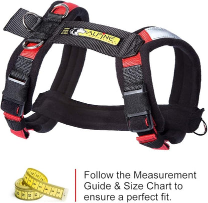 Urban Trail Adjustable Harness