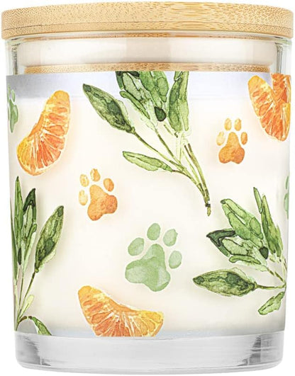 One Fur All Pet House Candle 2 Pack - Plant-Based Soy Candle - Long Lasting Pet Odor Elimination - Mandarin Sage Scent