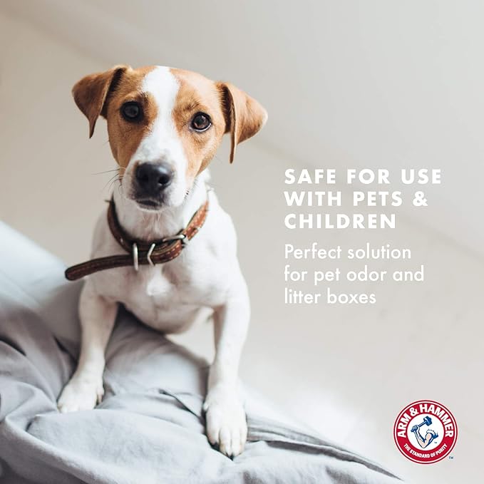 Arm & Hammer for Pets Air Care Energizing Reed Diffuser for Pets | 4 FL Oz Grapefruit Neroli Reed Diffuser to Eliminate Pet Odors | Reed Diffuser for Easy and Effective Pet Odor Elimination