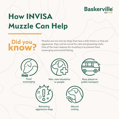 Baskerville INVISA Basket Dog Muzzle - Patented Humane Design with Facial Visibility, Padded Nose Band, Dog can Pant and Drink, Prevents Biting and Scavenging. Muzzle for Small Dogs (Size 2)