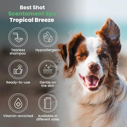 Best Shot Scentament Spa Tropical Breeze Seasonal Facial & Body Wash, 1 Gallon