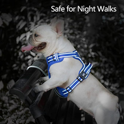 PoyPet No Pull Dog Harness, No Choke Reflective Dog Vest, Adjustable Pet Harnesses with Easy Control Padded Handle for Small Medium Large Dogs(Royal Blue,XS)