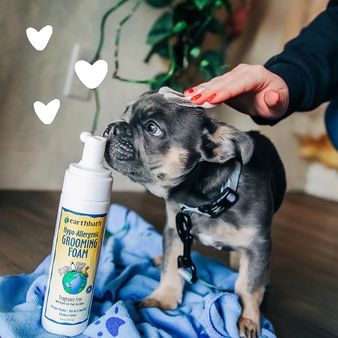 earthbath, All Natural Hypo-Allergenic Dog Grooming Foam - Fragrance Free Dog Shampoo for Allergies and Itching, Cruelty Free, No Water Needed, Rub On & Towel Off, Made in USA, Dog Supplies - 8 Oz