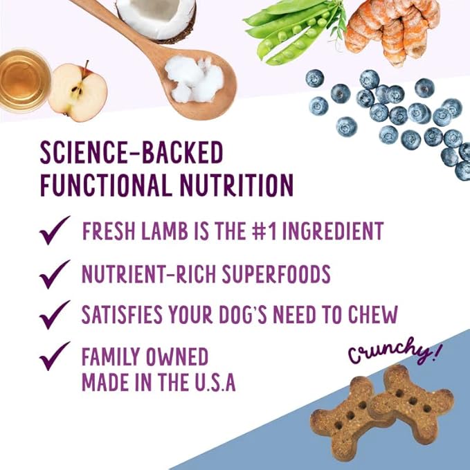 Health Extension Oven-Baked Dog Treats, 6oz (170g), Lamb & Blueberry Recipe – Gluten & Grain-Free, Superfood-Infused, Crunchy Biscuits for Puppy Training (Pack of 6)