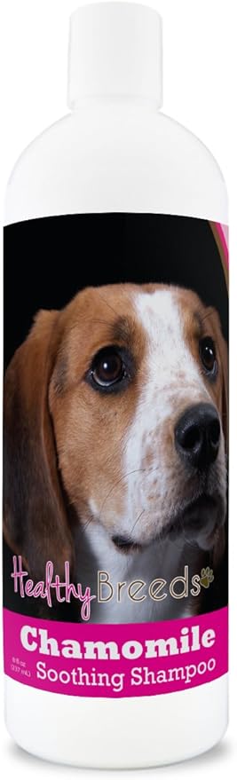 Healthy Breeds American English Coonhound Chamomile Soothing Dog Shampoo 8 oz