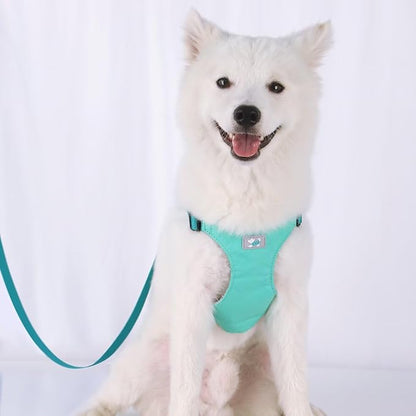 Beirui Small Dog Harness and Leash Set, No Pull Step-in Harness for Puppy, Lightweight Air Mesh Pet Harness for Medium Dogs (Blue, M)