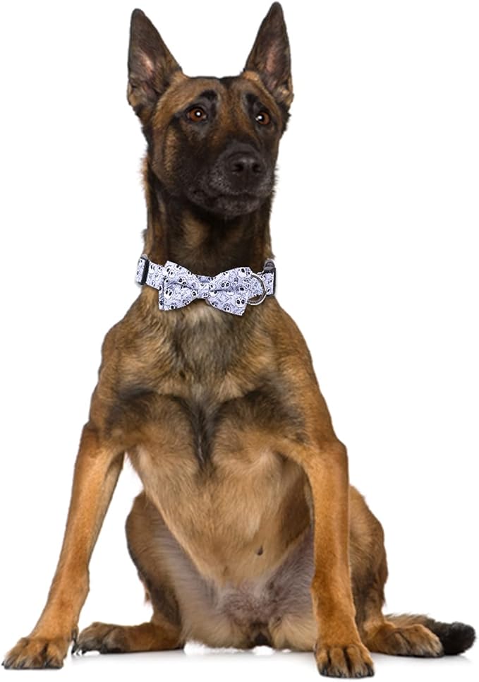 Halloween Dog Collar with Removable Cute Bow Tie Adjustable Pet Collars Small
