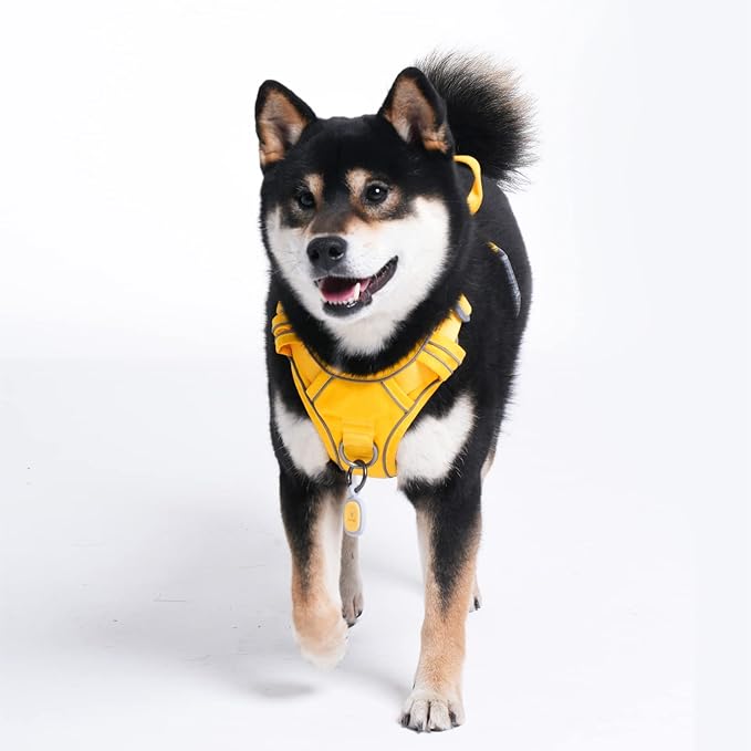 Pawaii Dog Harness for Small Dogs, Dog Harness with Pet ID Tag, No Choke Dog Harness, Adjustable Soft Padded Pet Vest with Easy Control Handle