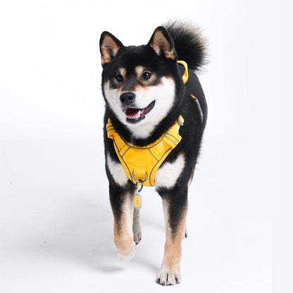 Pawaii Dog Harness for Small Dogs, Dog Harness with Pet ID Tag, No Choke Dog Harness, Adjustable Soft Padded Pet Vest with Easy Control Handle