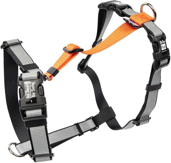 No Pull Harness with Fully Customizable Fitment for Small Dogs - 3M Reflective Heavy Duty Harness for Walking & Training - No Choke Comfortable Collar Design, Made in USA S-Orange