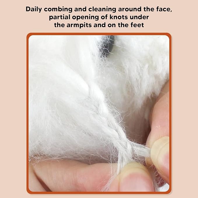 Pet Teeth Comb, Fine Tooth Spacing Detangling Open Knots Loose Hair Rounded Ends Teeth Dog Grooming Comb for Cats Dogs Pets