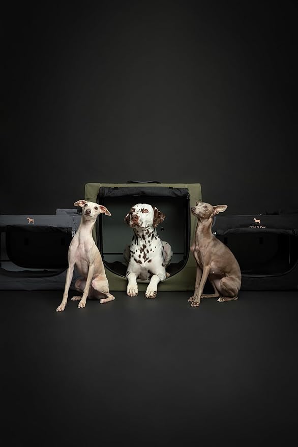 Noah & Paw Collapsible Dog Crate 36 Inches, XL Dog Crate for XL, Large Medium Breed, Travel Kennel for Car, Includes Pet Mat for Pet Cage, 2 Storage Pockets, Handbag, 10mm Locking Zippers 36*25*23