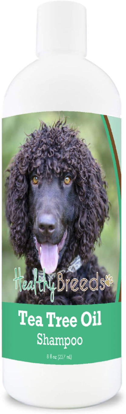 Healthy Breeds Irish Water Spaniel Tea Tree Oil Shampoo – Formulated for Dry, Irritated Skin – Reduce Dandruff – Wintergreen Scent – 8 oz