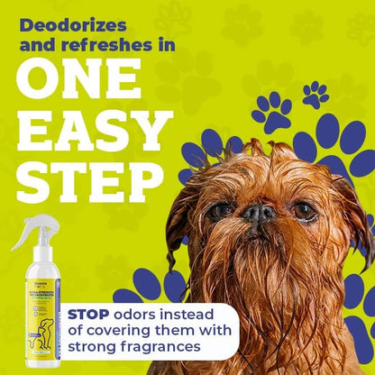 Pets Extra Strength Pet Deodorant & Odor Neutralizer | Naturally Derived Quick-Drying Deodorizer Spray for Dogs | Safe on Carpets & Furniture | Pet-Safe & Hypoallergenic | Sweet Sun Scent