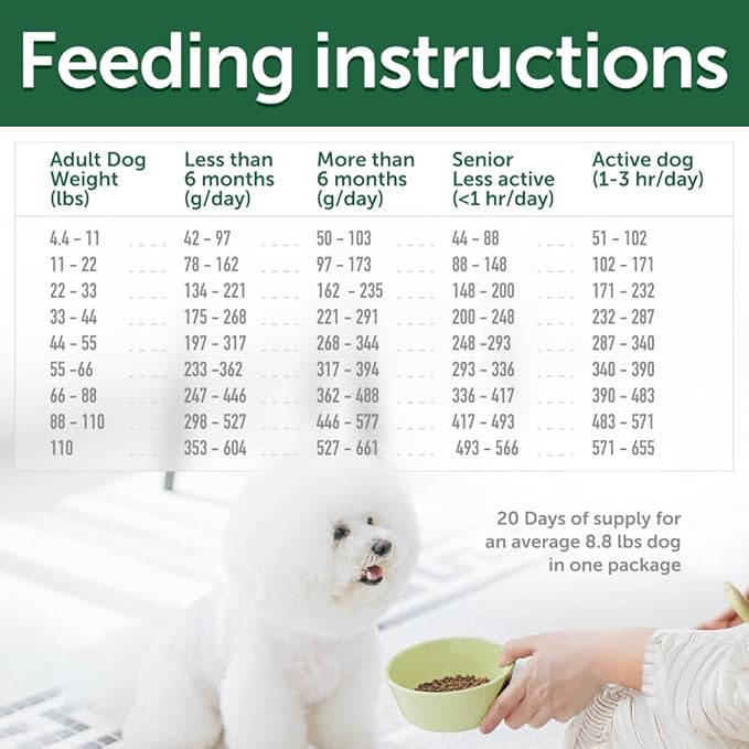 Nature's Protection Superior Care Grain Free Dry Dog Food - Healthy Dog Food All Life Stages Dogs - Balanced, Super Premium Dog Food - 1 Pack of 8.8lb Insect Flavor