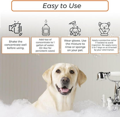 Skin & Coat Care Combo - Lime Sulfur Dip 16 oz + Antiparasitic & Antiseborrheic Dog Shampoo 16 oz